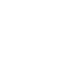 Brave Analytics Partners - Lisa Life Science Austria Logo